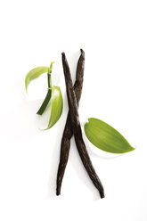 Vanilleschoten (Vanilla planifolia) - 10465CS-U