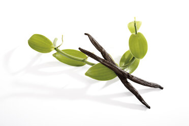 Vanilleschoten (Vanilla planifolia) - 10464CS-U