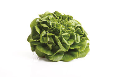 Lettuce (Lactuca sativa var. capitata) - 10445CS-U