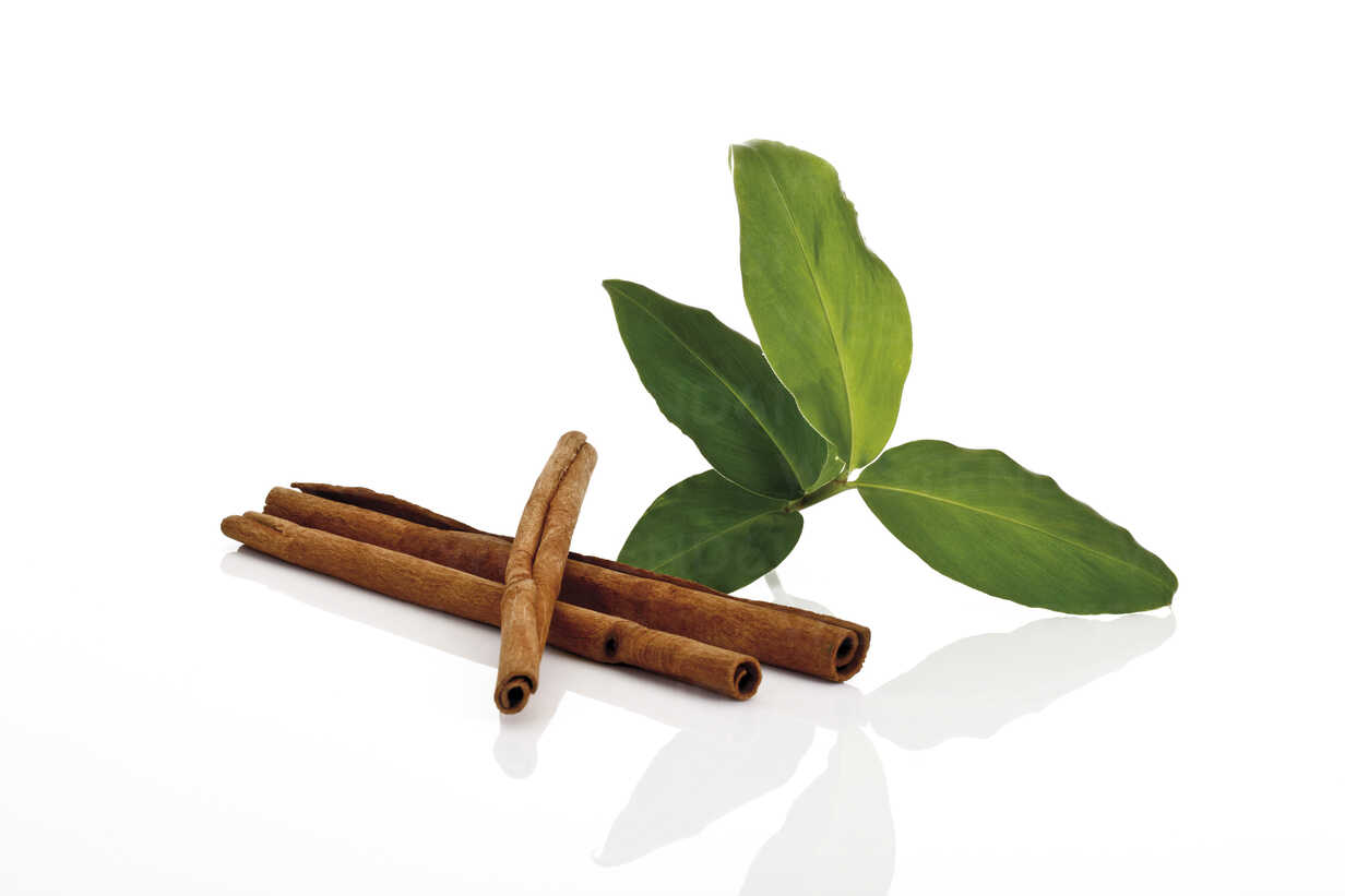 Cinnamon sticks and cinnamon leaves (Cinnnamomum) stock photo