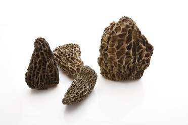 Schwarze Morcheln (Morchella) - 10765CS-U