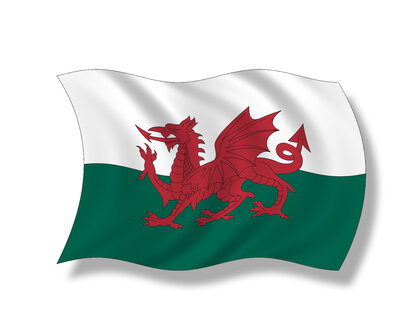 Illustration, Flagge von Wales - 11107CS-U