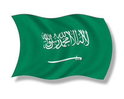 Illustration, Flag of Saudi Arabia - 11053CS-U