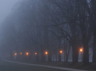 Österreich, Salzkammergut, Mondsee, Gasse mit Straßenlampen in nebliger Nacht - WWF00779