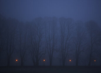 Österreich, Salzkammergut, Mondsee, Gasse mit Straßenlampen in nebliger Nacht - WWF00778