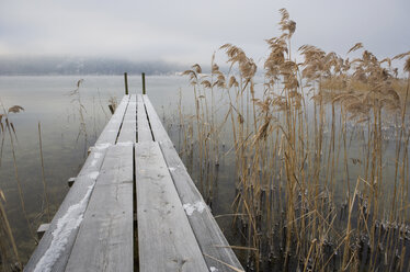 Austria, Salzkammergut, Lake Mondsee, Boardwalk - WWF00776