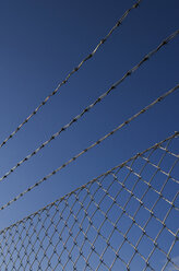 Barbed wire fence against blue sky - WWF00775