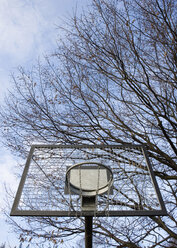 Basketball hoop, Branches in background, low angle view - WWF00771