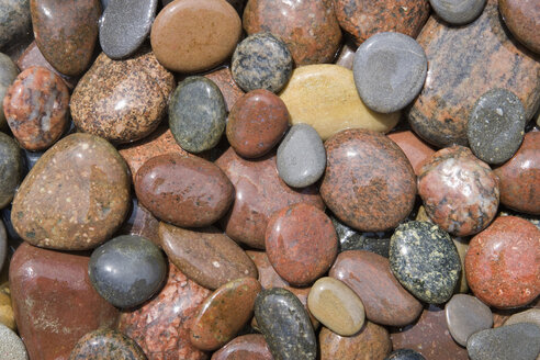 Variety of pebbles, elevated view, close up - WWF00766