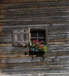 Österreich, Krimmler Achental, Almhütte, Fenster mit Blumen - WW00819