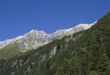 Austria, Krimmler Achental, Mountain range, woodland - WW00816