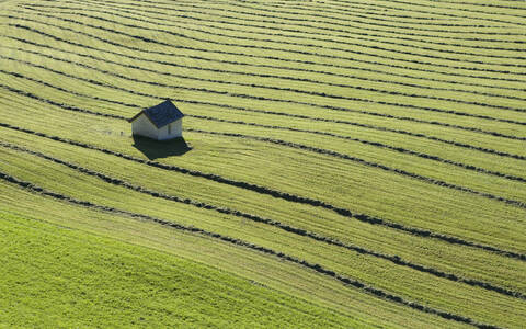 Österreich, Krimmler Achental, Heuernte, lizenzfreies Stockfoto