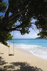 St. Vincent, Grenadinen, Karibik, Insel Canouan, Glänzende Bucht, Schaukel am Baum - PSF00003