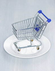Empty shopping cart on plate - KSWF00406