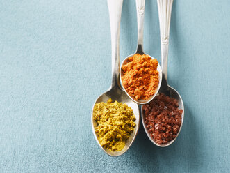 Cayenne pepper, Curry powder and rock salt on spoons, elevated view - KSWF00393