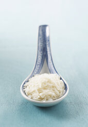 Gekochter Reis auf chinesischem Löffel - KSWF00391