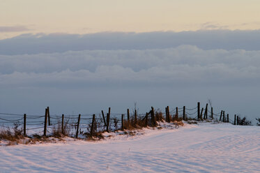 Deutschland, Baden Württemberg, Winterlandschaft am Bodensee - SMF00449