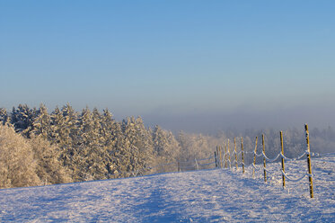 Deutschland, Baden Württemberg, Winterlandschaft am Bodensee - SMF00446