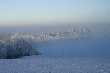 Deutschland, Baden Württemberg, Deggenhausertal, Winterlandschaft - SMF00442