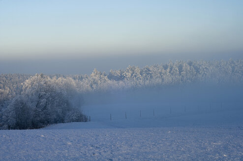 Germany, Baden Württemberg, Deggenhausertal, Winter landscape - SMF00442