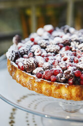 Fruitcake with berries, close-up - KSWF00442