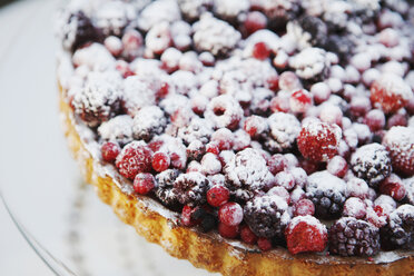 Fruitcake with berries, close-up - KSWF00441