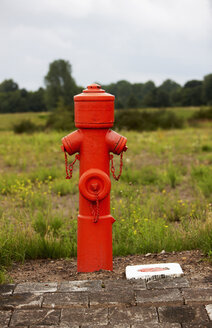 Roter Hydrant in der Landschaft - KSWF00408