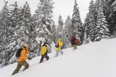 Italien, Südtirol, Menschen in Winterkleidung wandern bergauf - WESTF11233