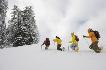 Italy, South Tyrol, People snowshoeing in a row - WESTF11227