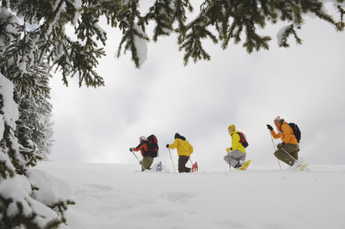 Italien, Südtirol, Menschen beim Schneeschuhwandern in einer Reihe - WESTF11226