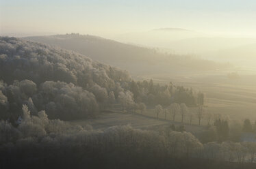 Deutschland, Schwaebische Alb, Winterlandschaft mit Nebel - WDF00478