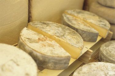 Ageing room where hard cheeses are stored to mature - Stock Image -  F023/1665 - Science Photo Library