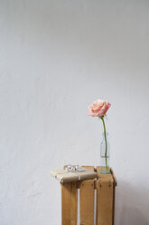 Geschenkpaket und Rose auf Holzkiste - JRF00104