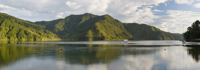 Neuseeland, Südinsel, Marlborough Sounds, Fjord Scerery - SH00347