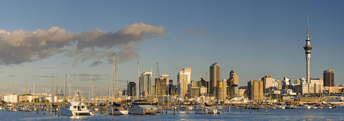 Neuseeland, Auckland, Skyline vom Meer aus gesehen - SH00342