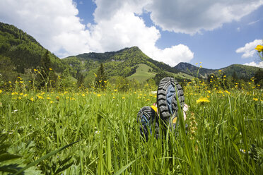 Österreich, Tirol, Wanderer entspannt auf Wiese, Nahaufnahme - GWF00983