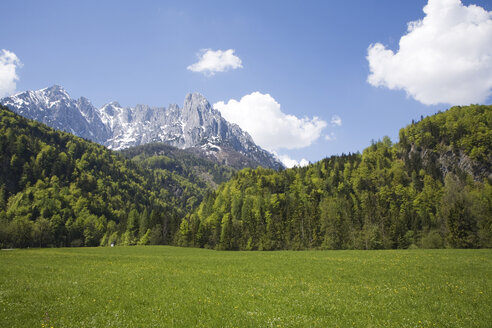 Österreich, Tirol, Blick auf Wiese und Berge, Wilder Kaiser, Kaisergebirge - GWF00975