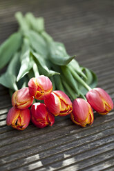 Tulpenstrauß (Tulipa), Ansicht von oben - MAEF01727