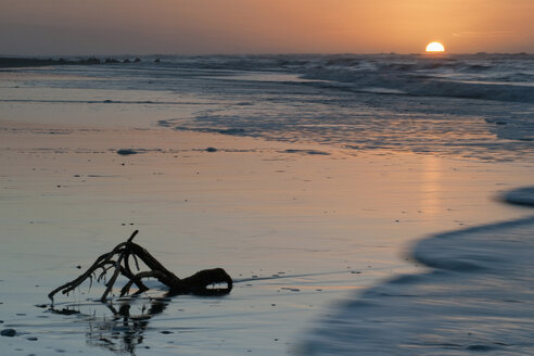 Neuseeland, Hokitika, Ufer bei Sonnenuntergang, Treibholz im Vordergrund - SHF00370