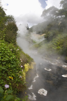 Neuseeland, Waikite Valley, Thermal Creek - SHF00394