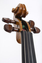 Violin, scroll, fingerboard, close-up - MUF00830