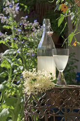 Österreich, Salzburger Land, Holunderblüte, (Sambucus nigra), Blüten, Flasche und Glas - HHF02888