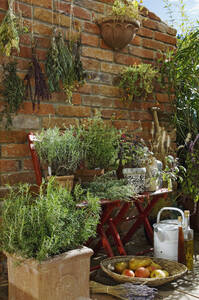 Austria, Salzburger Land, Dried herbs on brick wall, close up - HHF02881