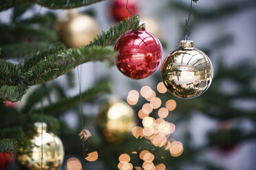 Christmas tree balls on christmas tree, close up - MFF00393