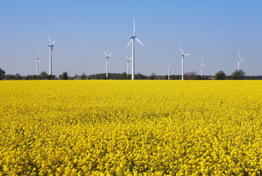 Deutschland, Niedersachsen, Windpark - KSWF00456