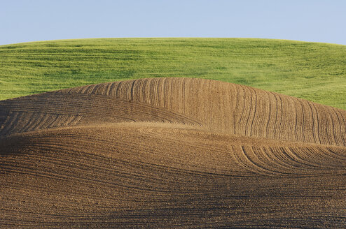 USA, Bundesstaat Washington, Palouse, Feldlandschaft - RUEF00204