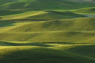 USA, Staat Washington, grüne Felder und Hügel von Palouse - RUEF00202