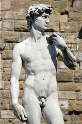 Italy, Tuscany, Florence, Statue of David, close up - PSF00283