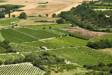 Frankreich, Provence, Gordes, Feldlandschaft - PSF00215