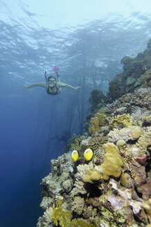 Ägypten, Rotes Meer, Frau beim Schnorcheln am Korallenriff - GNF01154